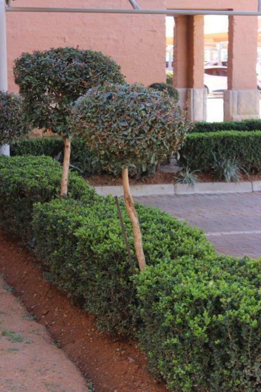 Ferienwohnung Reliwave Pty Ltd Bloemfontein Exterior foto